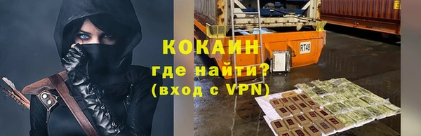 стафф Алексин