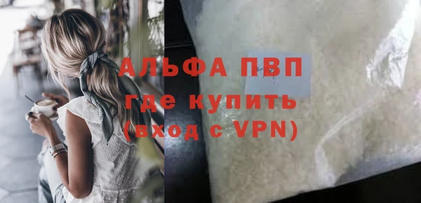 стафф Алексин