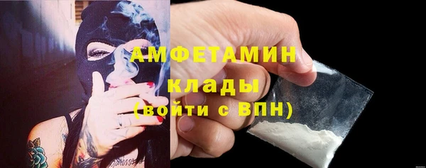 стафф Алексин