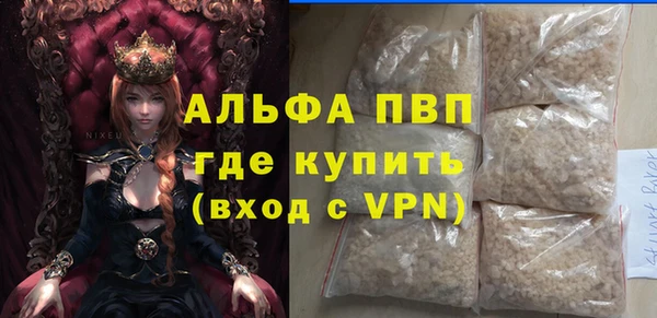 стафф Алексин