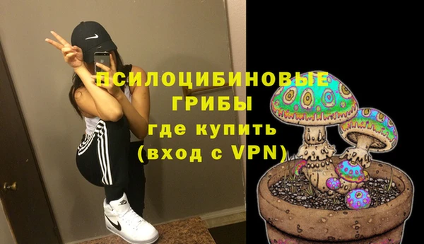 гидра Алексеевка