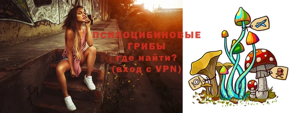 стафф Алексин
