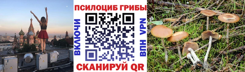 Галлюциногенные грибы MAGIC MUSHROOMS цены Ступино